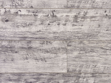 Дуб Баярд ROC43