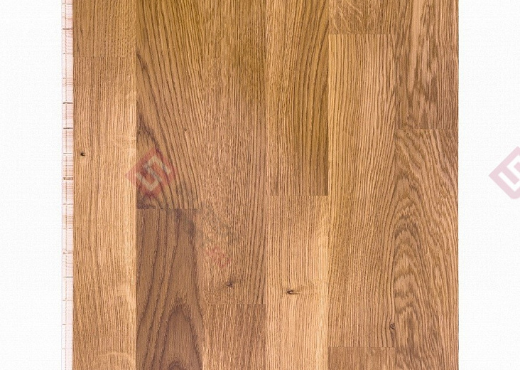 Паркетная доска Focus Floor Дуб Khamsin Laquered 3S