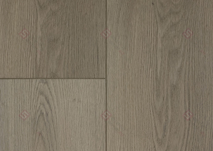 SPC ламинат Floorwood Quantum Дуб Кэмбел 6537