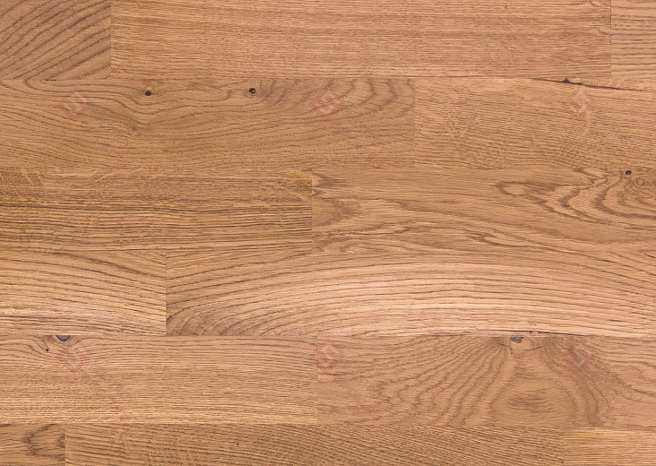 Паркетная доска Focus Floor Дуб Blanco Trend Lacquered 3S