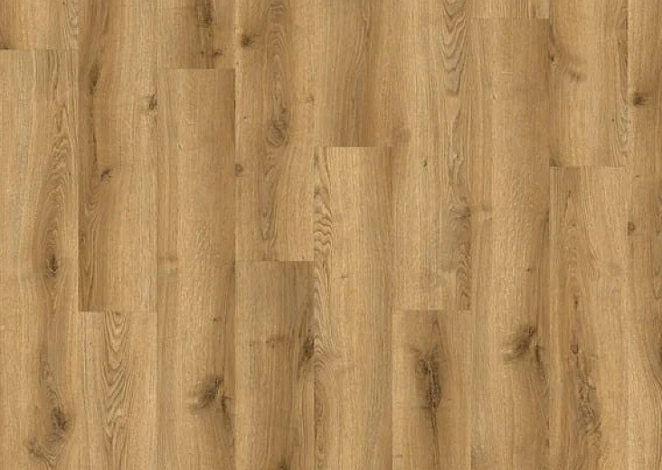 SPC ламинат Adelar Solida Acoustic Traditional Oak 03826LA - фото интерьера 1