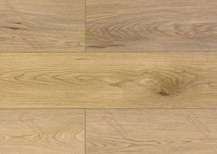 SPC ламинат Damy Floor Family Дуб Кавказский 9531-2А