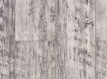 Дуб Баярд ROC43