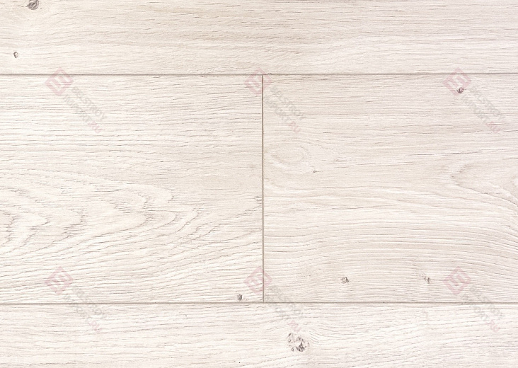 Дуб Барлоу ROC02