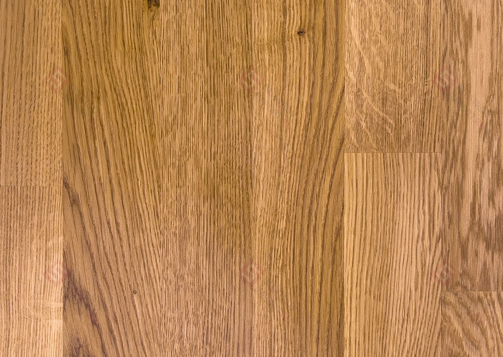 Паркетная доска Focus Floor Дуб Khamsin Laquered 3S