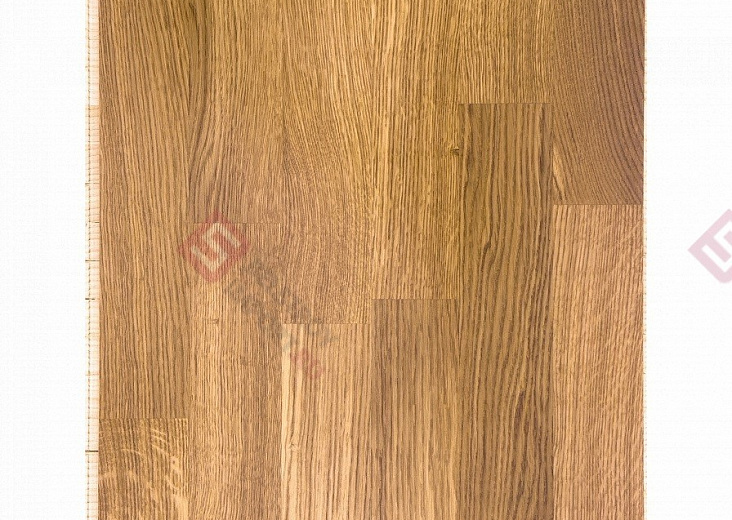 Паркетная доска Focus Floor Дуб Sirocco Laquered 3S