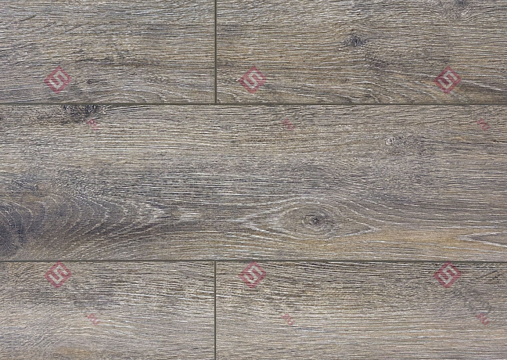 Ламинат FLoor a House Premium 10 мм Дуб Baron B 540