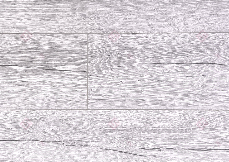 Вяз Фишер ROC03