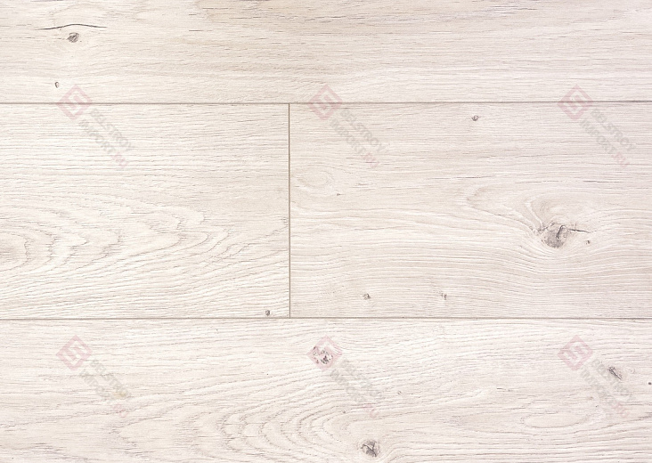 Дуб Барлоу ROC02