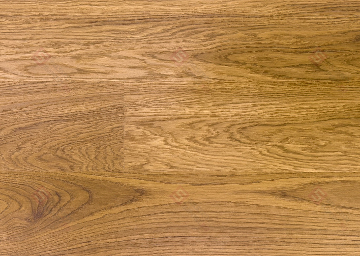 Паркетная доска Focus Floor Дуб 138 Levante Laquered 1S