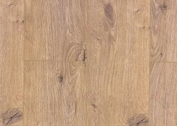 Дуб Арделан ROC45