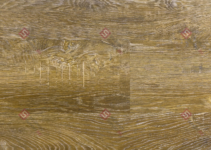 Дуб Маршен