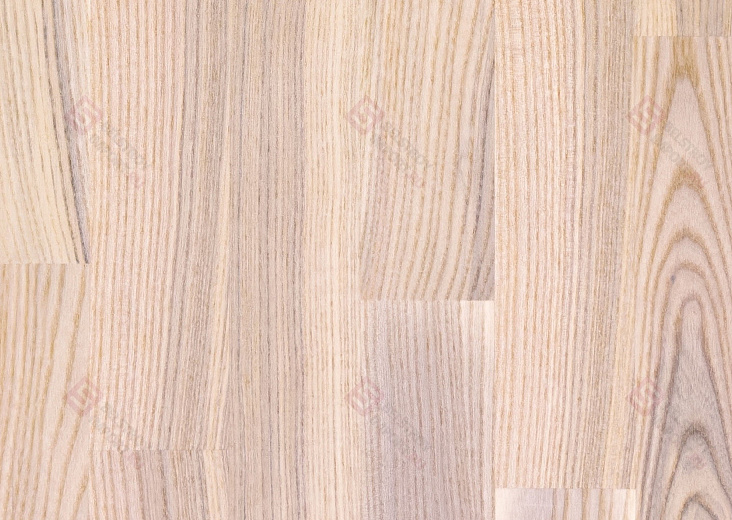 Паркетная доска Focus Floor Ясень Mistral White Matt 3S