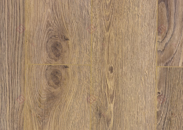 Дуб Бертон ROC46