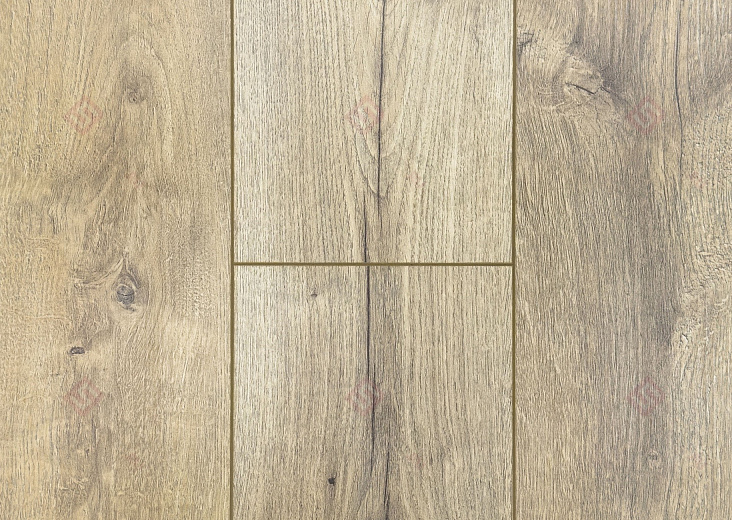 Ламинат FLoor a House Standard 12 мм Дуб Nobl B 113