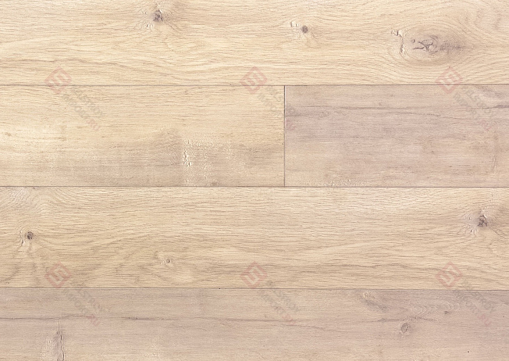 Ламинат FloorWay Standart Дуб Крем PRE63