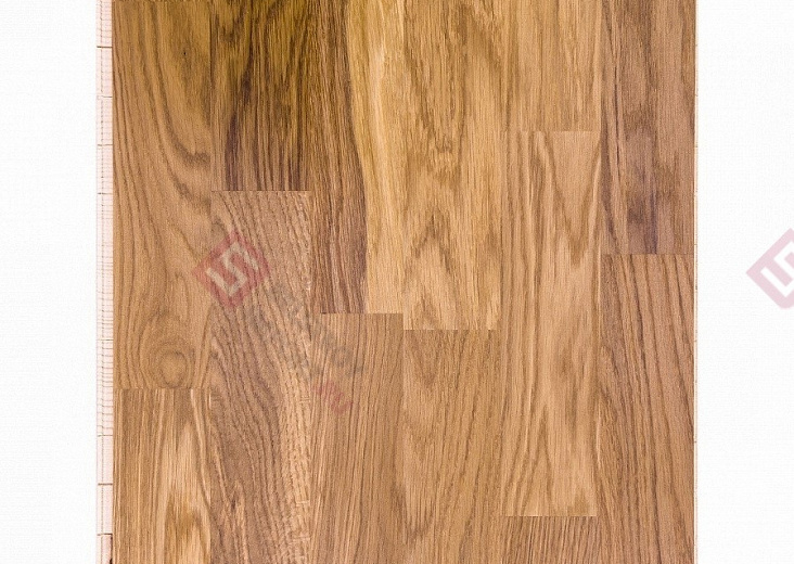 Паркетная доска Focus Floor Дуб Libeccio 3S