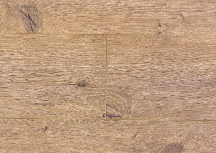 Дуб Арделан ROC45