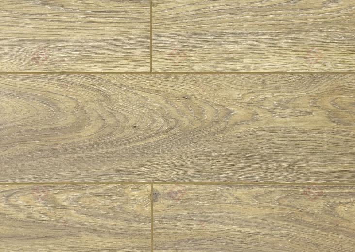 Ламинат FLoor a House Premium 10 мм Дуб Rosarno B 519