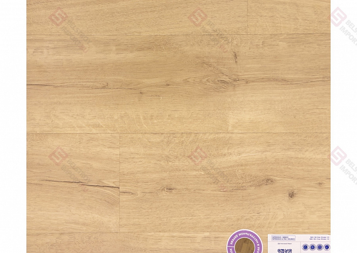 Дуб Песчаный берег IM8602