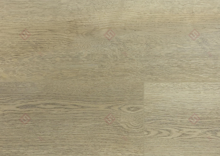 SPC ламинат Floorwood Quantum Дуб Вильсон 8604