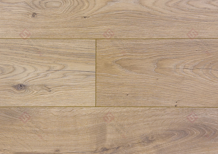Ламинат Floorwood Paradigma Дуб Риман 8335