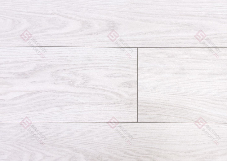 Дуб Арчи ROC01