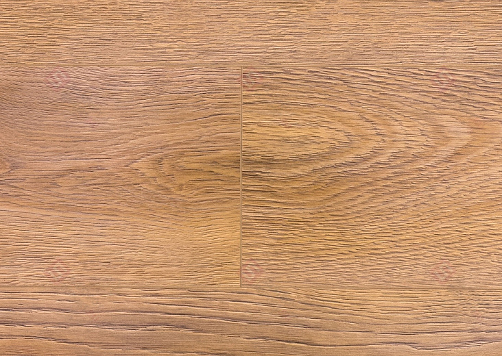 Ламинат Royce 8.32 Вяз Альбрехт ROC09