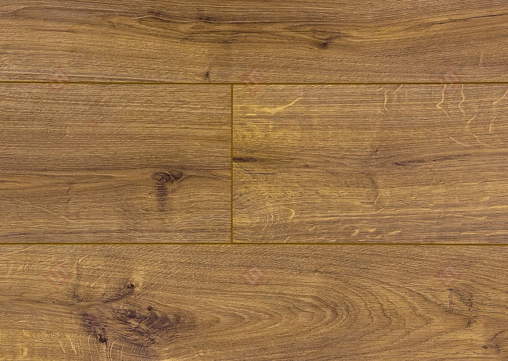 Ламинат Floorwood Paradigma Дуб Новион 8317