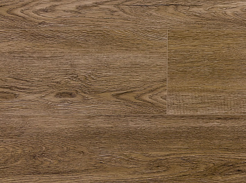 Дуб Бисмарк