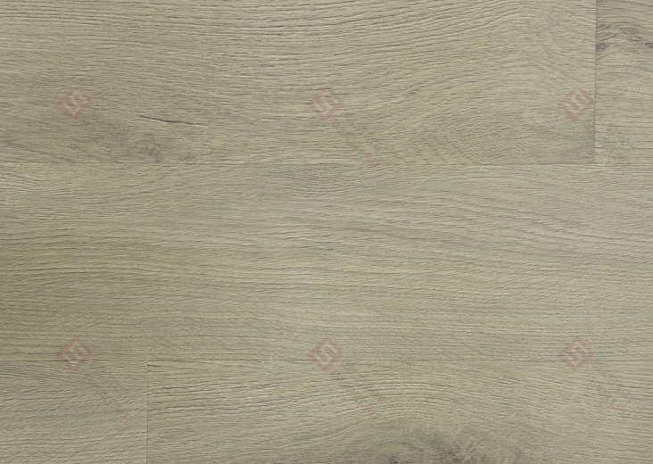 SPC ламинат CM Floor ScandiWood 5мм Дуб Элегант 31