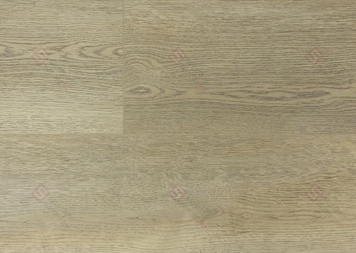 SPC ламинат Floorwood Quantum Дуб Вильсон 8604