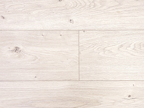 Дуб Барлоу ROC02