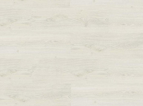 Клеевой пробковый пол Corkstyle Wood Oak Polar White