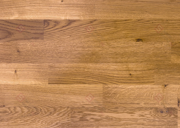 Паркетная доска Focus Floor Дуб Khamsin Laquered 3S