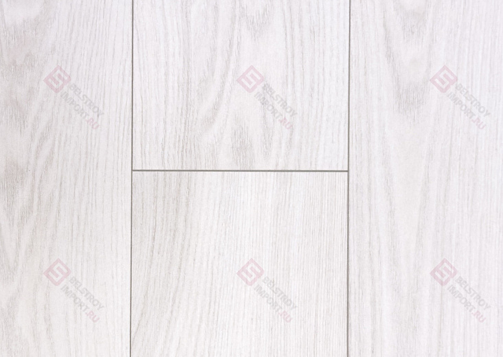 Дуб Арчи ROC01