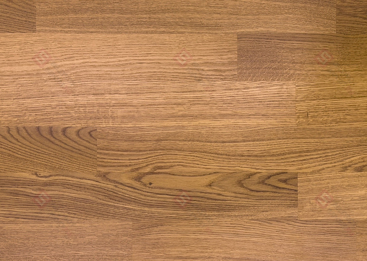 Паркетная доска Focus Floor Дуб Levante 3S