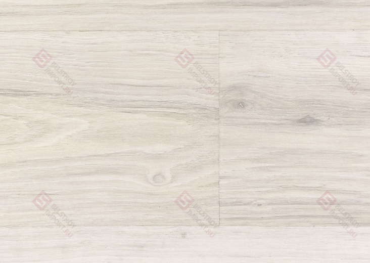 Дуб зимний IM8465