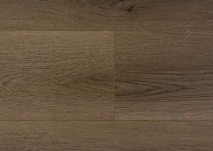 Мускат ЕСО 102-32