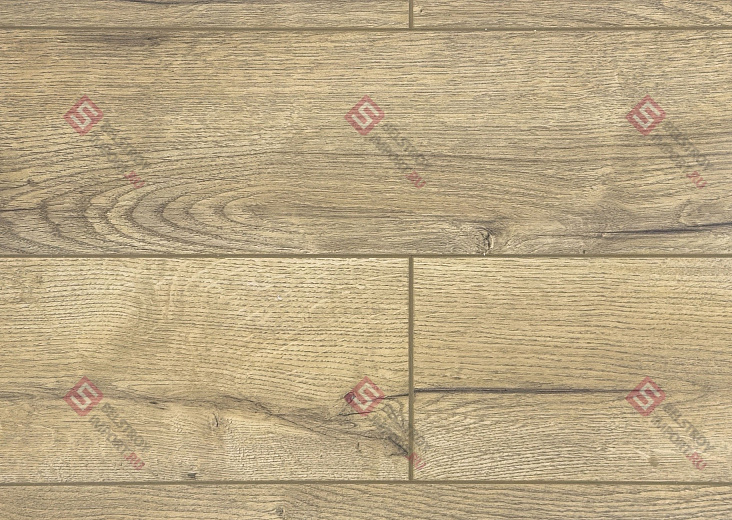 Ламинат FLoor a House Premium 10 мм Дуб Lagom B 557