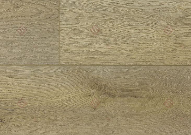 SPC ламинат Floorwood Quantum Дуб Майерс 6531