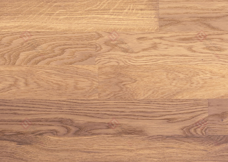 Паркетная доска Focus Floor Дуб Ostro White Matt 3S