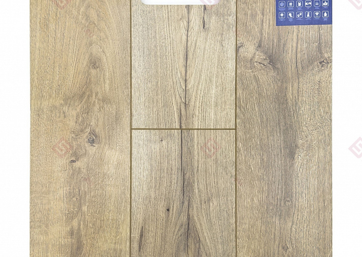 Ламинат FLoor a House Standard 12 мм Дуб Nobl B 113