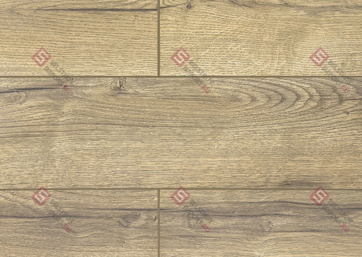 Ламинат FLoor a House Premium 10 мм Дуб Lagom B 557