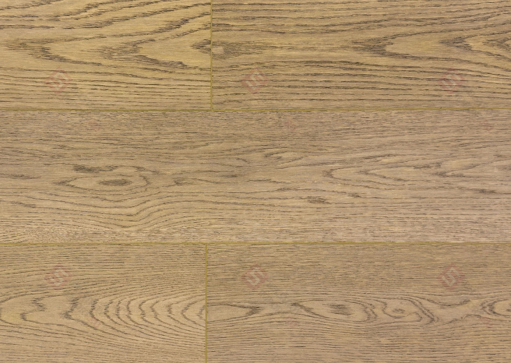 SPC ламинат Damy Floor Family Дуб Латте 0030-2