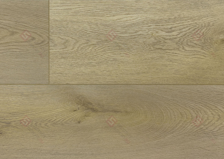 SPC ламинат Floorwood Quantum Дуб Майерс 6531