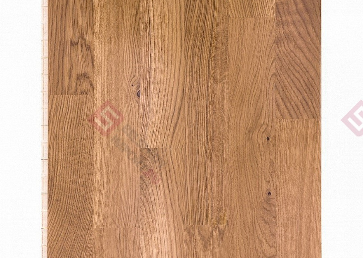 Паркетная доска Focus Floor Дуб Blanco Trend Lacquered 3S