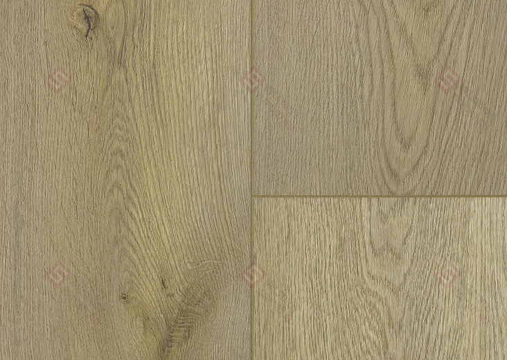 SPC ламинат Floorwood Quantum Дуб Майерс 6531