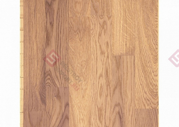 Паркетная доска Focus Floor Дуб Ostro White Matt 3S