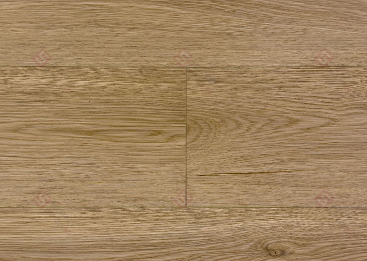 SPC ламинат Floorwood Quantum Дуб Робертс 9567